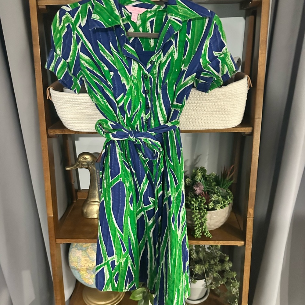 Lilly Pulitzer Green and Blue Leaf Print Dress